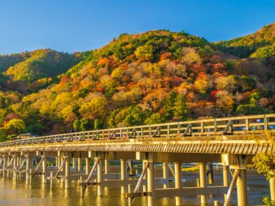 【添乗員同行/船中泊/小倉発】 往復 阪九フェリーで行く! 紅葉の世界遺産と清水寺・嵐山散策・伏見稲荷大社・北野天満宮 3日間3